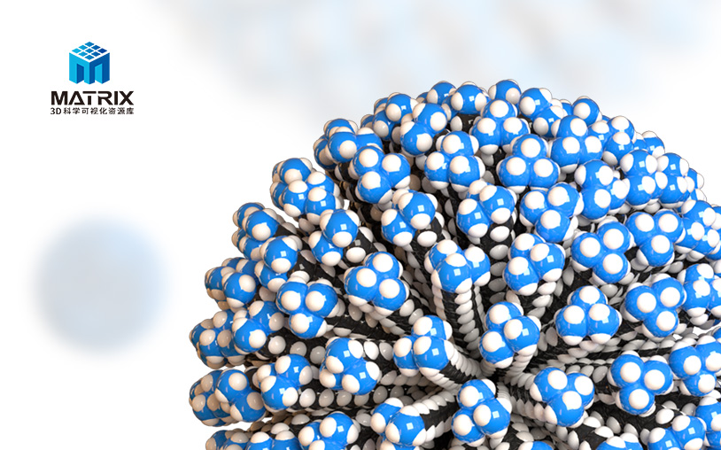 MATRIX科學(xué)模型